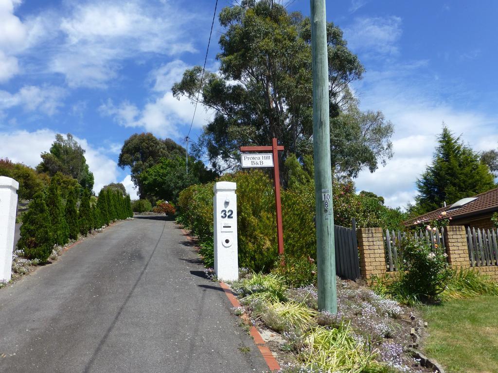 Bed and Breakfast Protea Hill Launceston Exterior foto